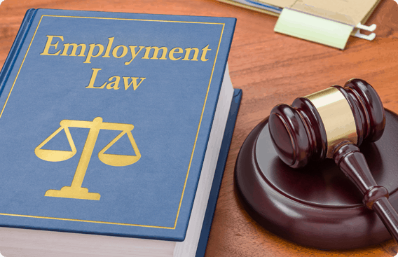 Employment Law